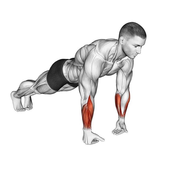Wrist Push-up exercise animation (Male)