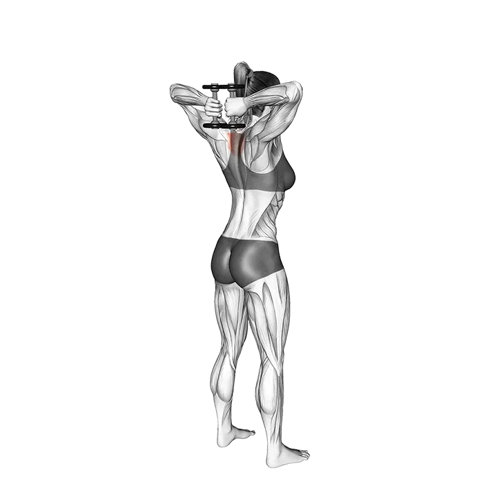 Dumbbell Standing T-spine Press exercise animation (Female)