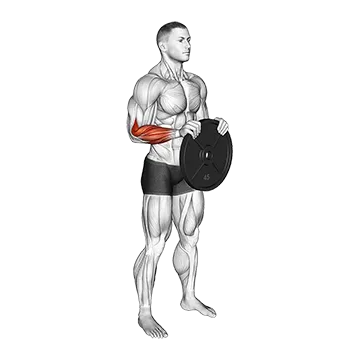 Weighted Plate Standing Hands Torsion