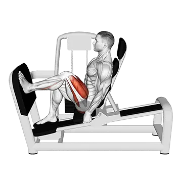 Lever Seated Single Leg Press (VERSION 2)