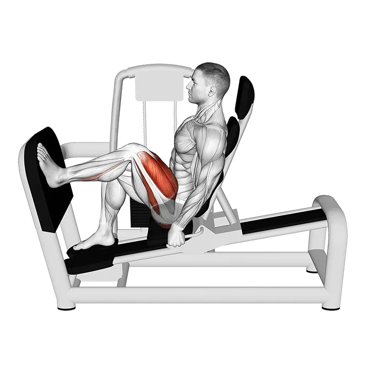 Lever Seated Single Leg Press (VERSION 2) exercise animation (Male)