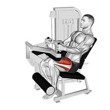 Lever Seated Leg Extension (VERSION 2)