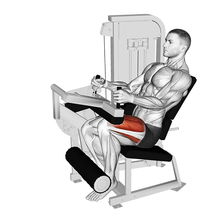 Lever Seated Leg Extension (VERSION 2) exercise animation (Male)