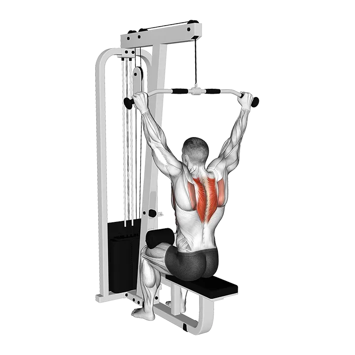 Cable Seated Reverse Shrug exercise animation (Male)