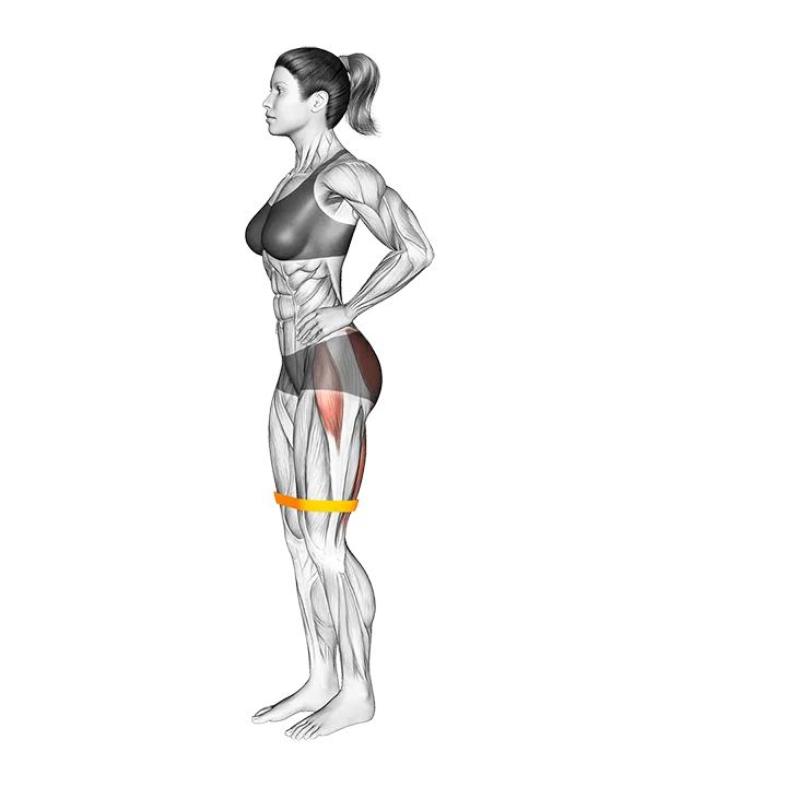 Resistance Band Standing Balance Glute Kickback (VERSION 2) exercise animation (Female)
