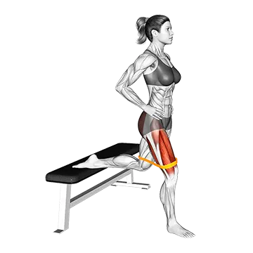 Resistance Band Bulgarian Squat