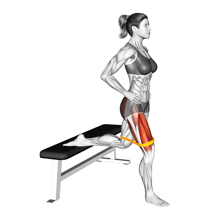 Resistance Band Bulgarian Squat exercise animation (Female)