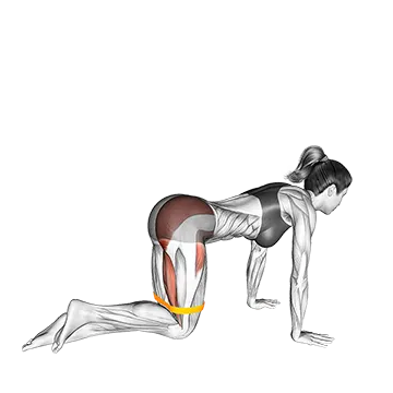 Resistance Band Kneeling Back Kick