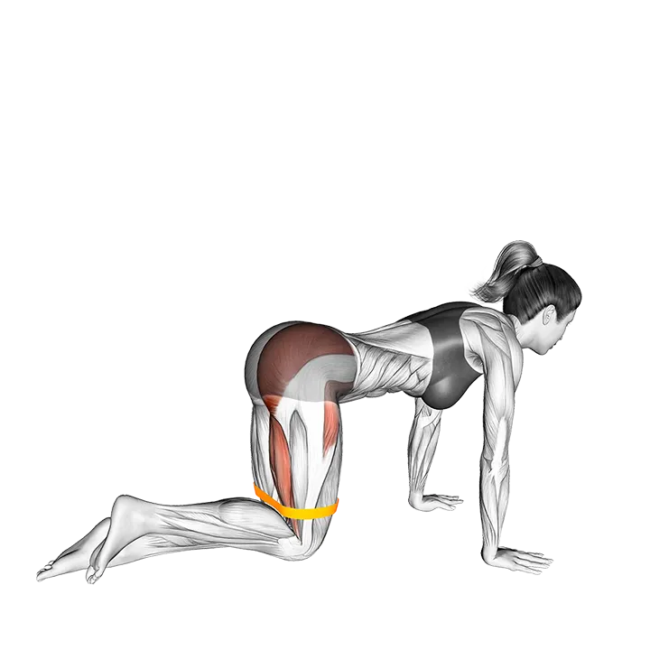 Resistance Band Kneeling Back Kick exercise animation (Female)