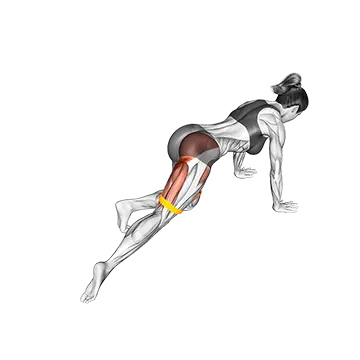 Resistance Band Kneeling Leg Half Circle