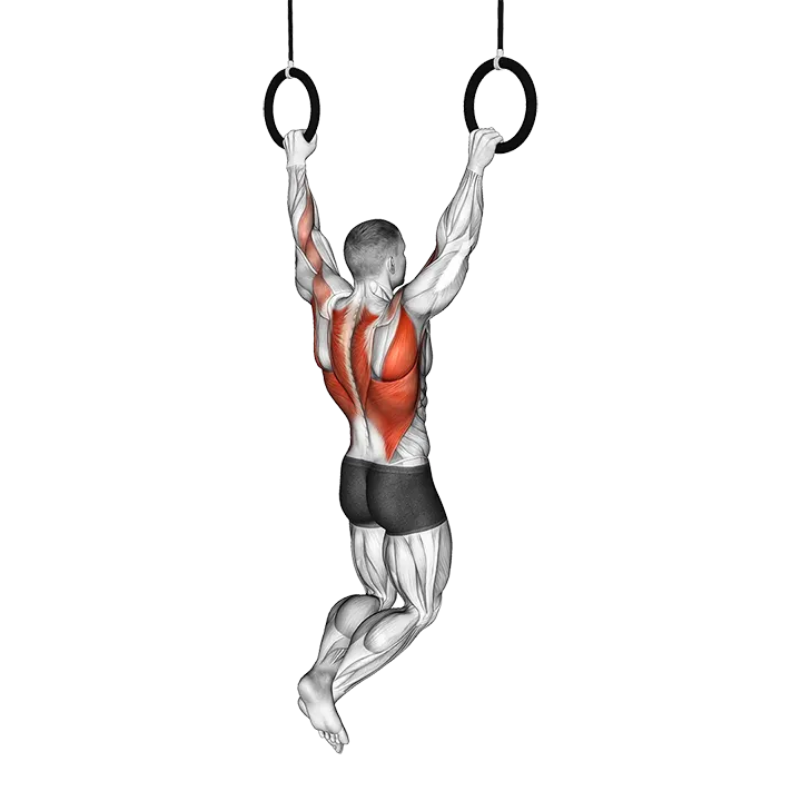 Ring Wide Pull-up exercise animation (Male)