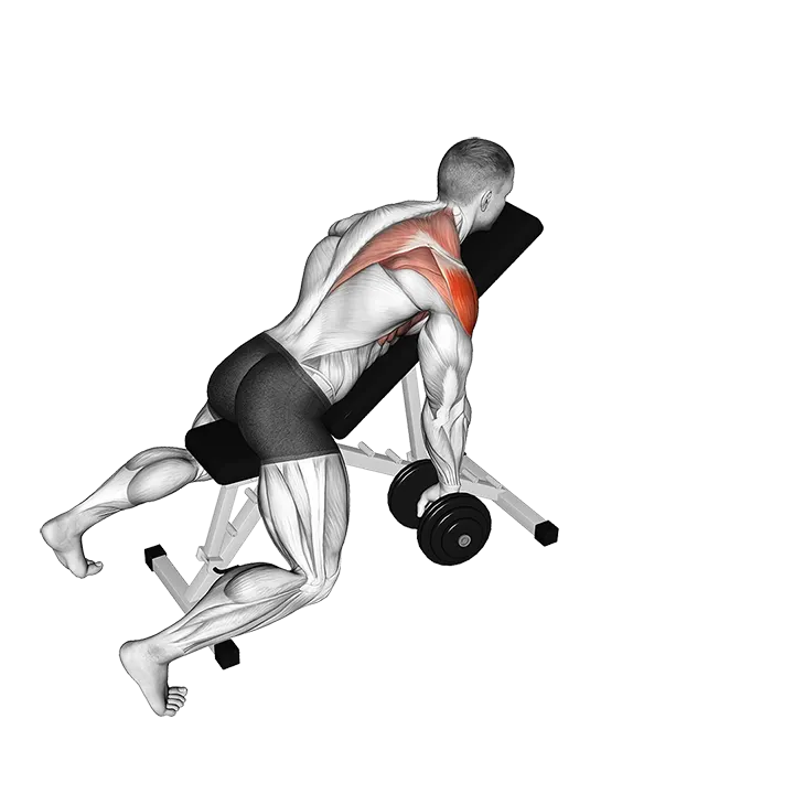 Dumbbell Incline Single Arm Y Raise exercise animation (Male)