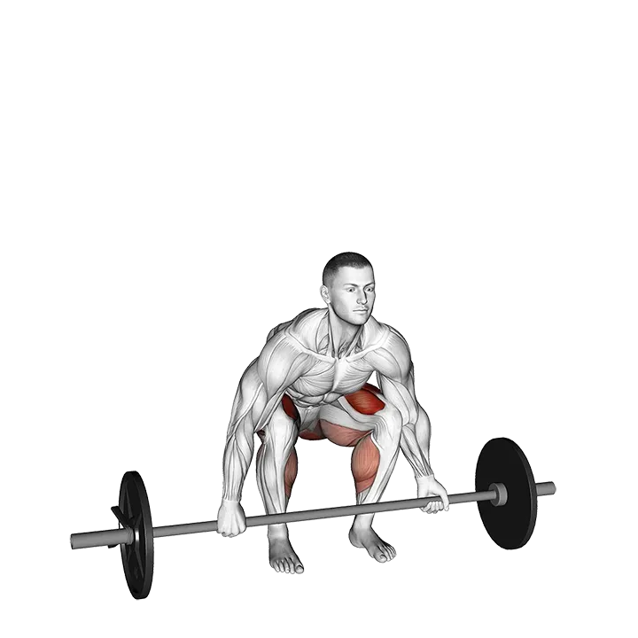 Barbell Mixed grip Deadlift exercise animation (Male)
