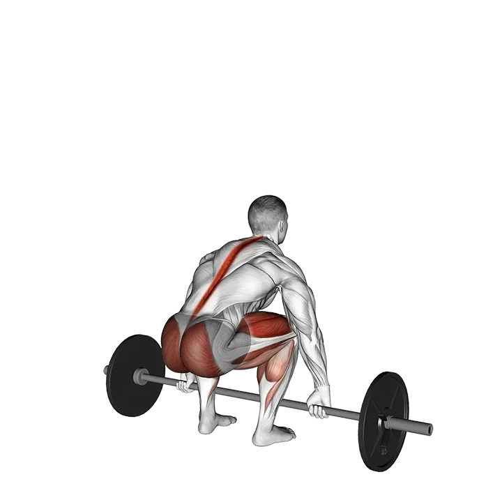 Barbell Hook grip Deadlift exercise animation (Male)