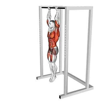 Hanging Front Lever Raise