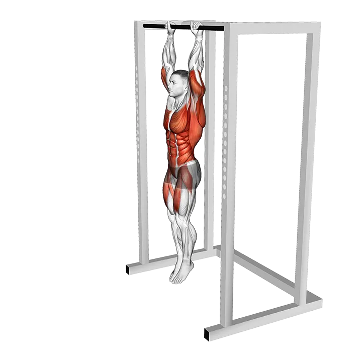 Hanging Front Lever Raise exercise animation (Male)