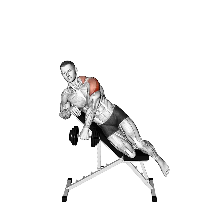 Dumbbell Incline Powell Raise exercise animation (Male)