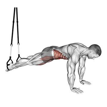 Suspender Pike