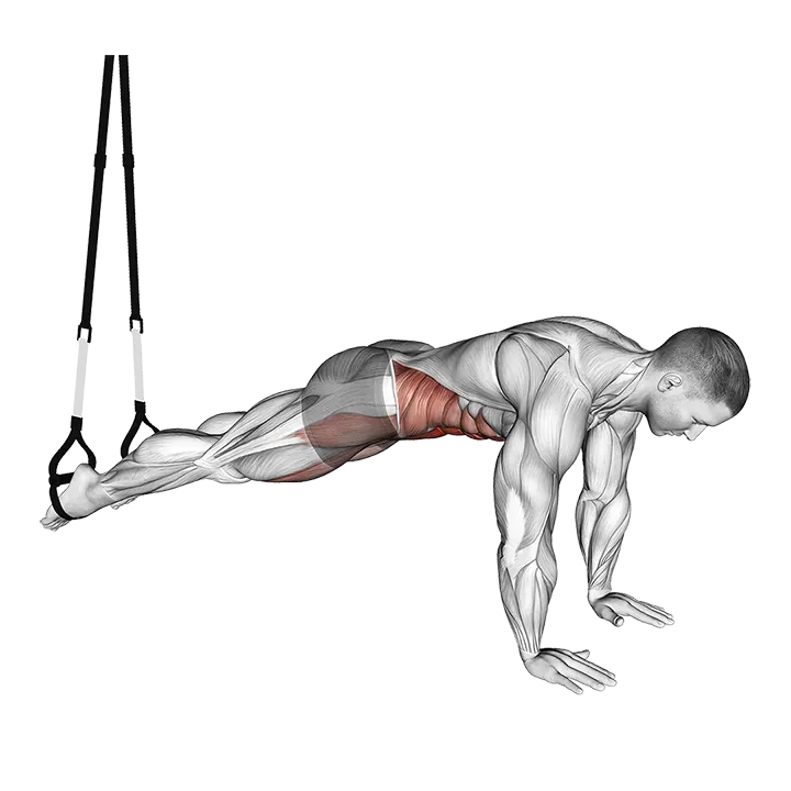 Suspender Pike exercise animation (Male)