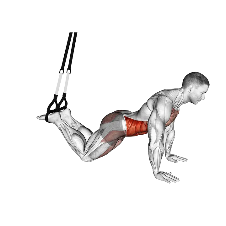 Suspender Front Plank exercise animation (Male)