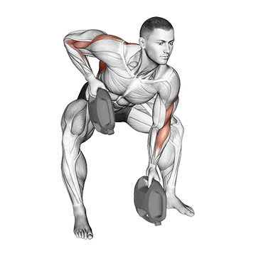 Bottle Weighted Gorilla Row