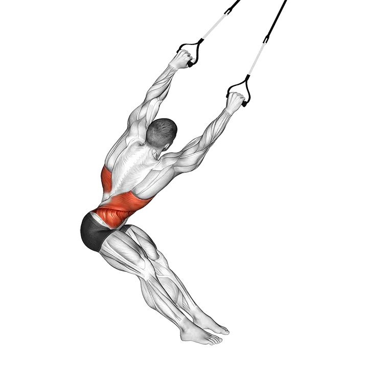 Suspender Lat Stretch exercise animation (Male)