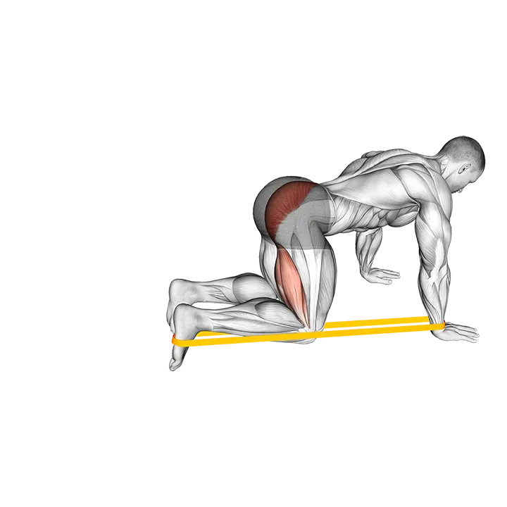 Resistance Band Leg Kickback exercise animation (Male)