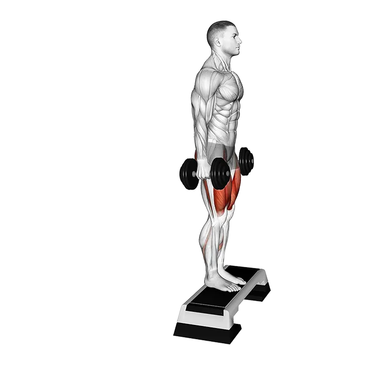 Dumbbell Reverse Lunge from Deficit exercise animation (Male)