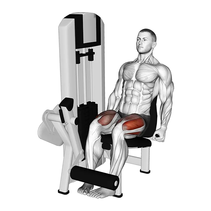 Lever Leg Extension (Inward Toes) exercise animation (Male)