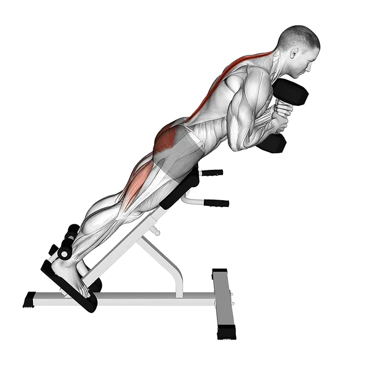 Dumbbell Hyperextension exercise animation (Male)