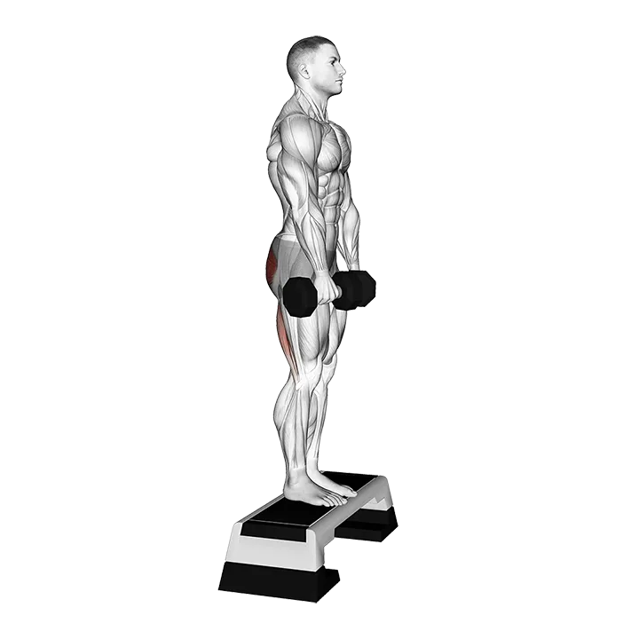 Dumbbell Jefferson Curl exercise animation (Male)