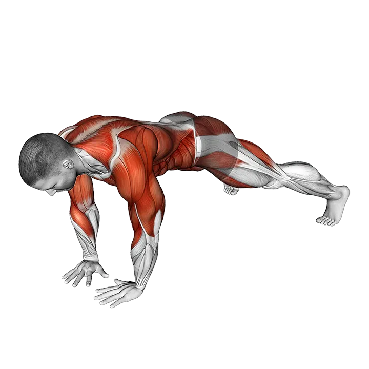 Wide Plank Side Tap exercise animation (Male)