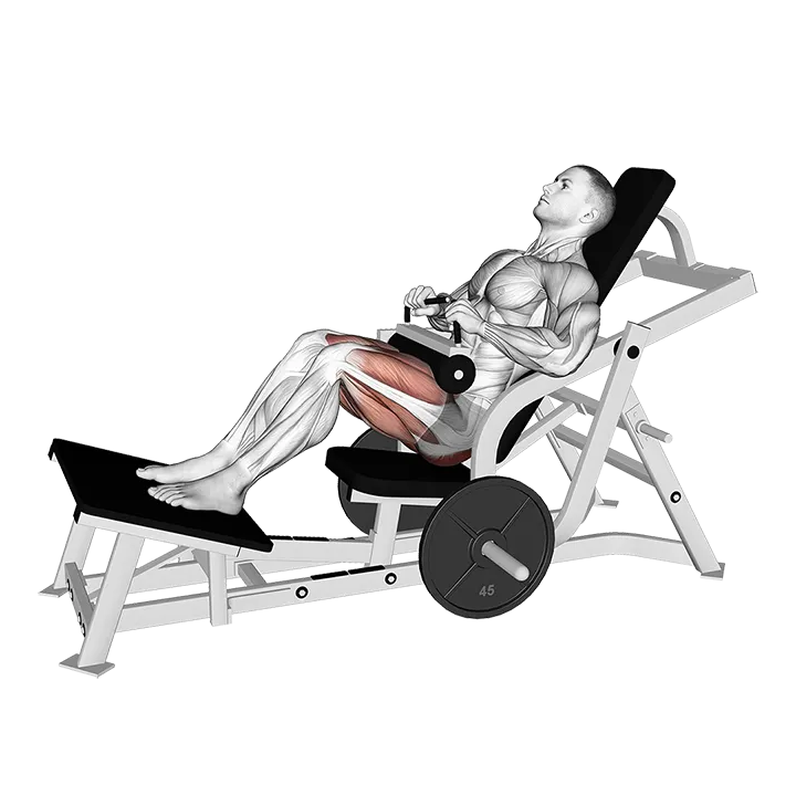 Lever Hip Thrust (plate loaded) exercise animation (Male)