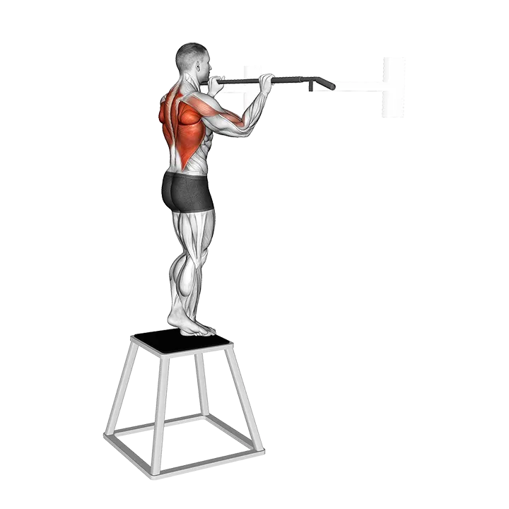 Pull-up (negative) exercise animation (Male)