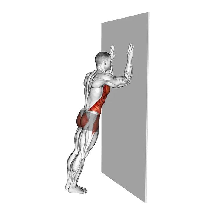 Wall Plank exercise animation (Male)