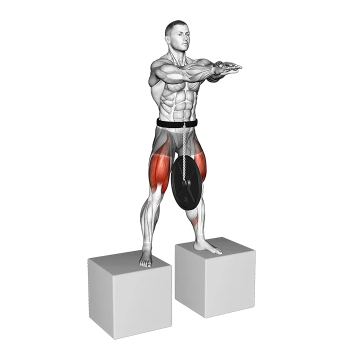 Weighted Full Squat from Deficit exercise animation (Male)