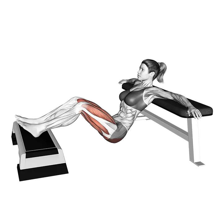 Elevated Two Legs Hip Thrust exercise animation (Female)
