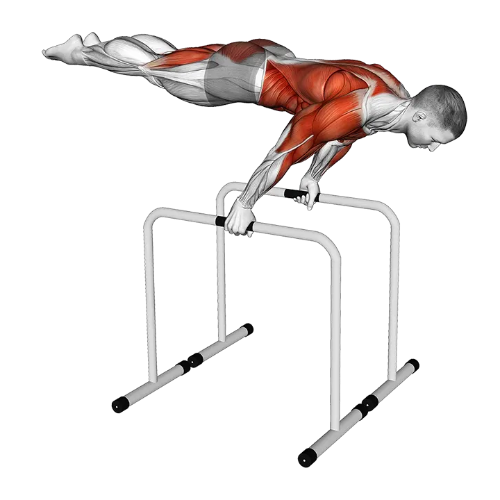 Planche Dip on Parallel Bars exercise animation (Male)