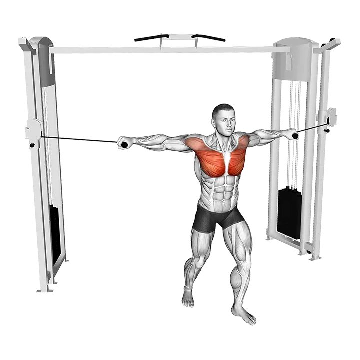 Cable Standing Neutral grip Fly exercise animation (Male)