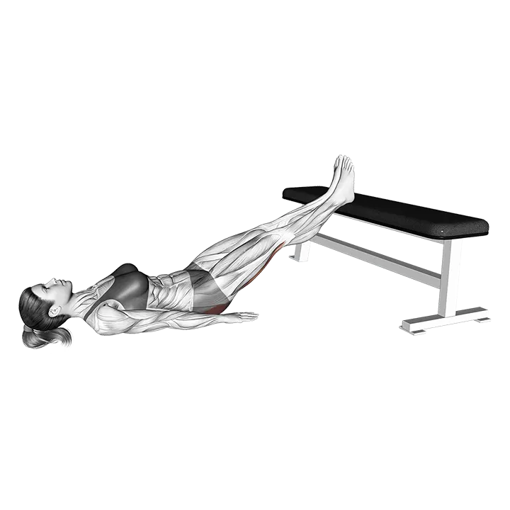 Straight Leg Glute Bridge exercise animation (Female)