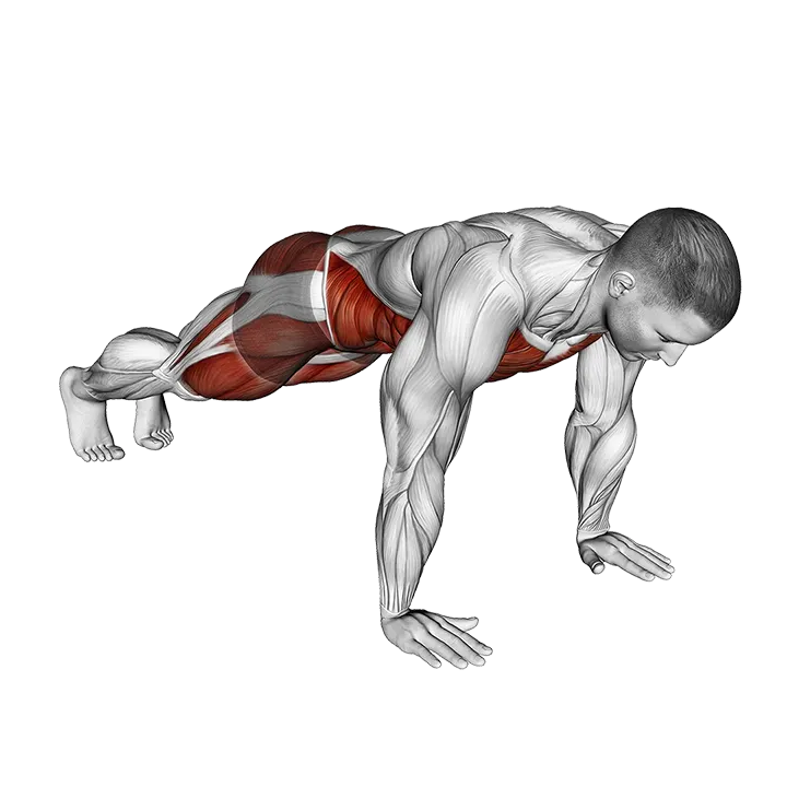 Spider Mountain Climber exercise animation (Male)