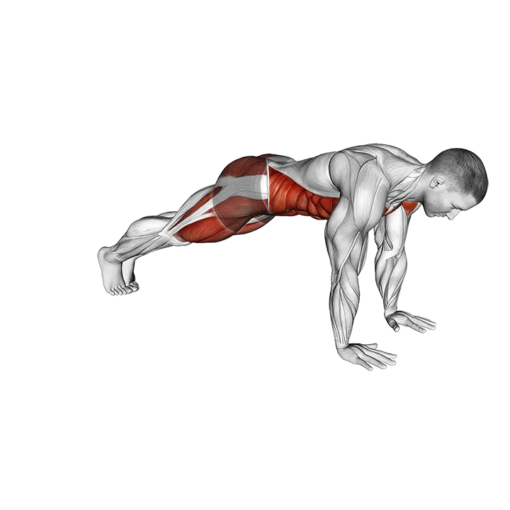 Double Plank Jack to 4 Mountain Climber exercise animation (Male)