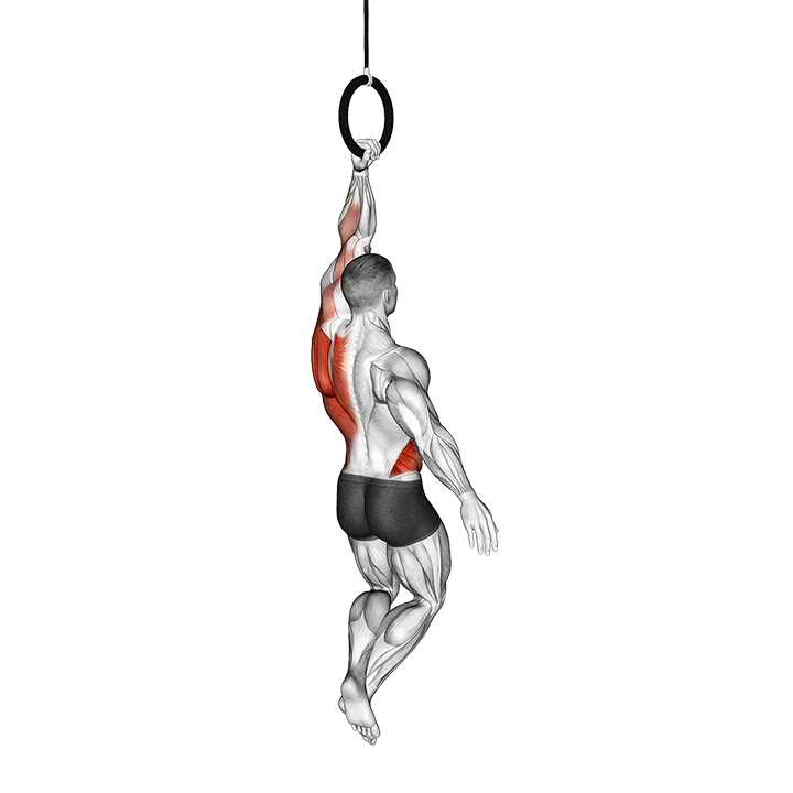 Ring One Arm Pull-up exercise animation (Male)