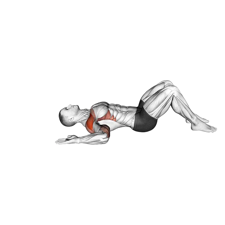 Lying Floor Slide exercise animation (Male)