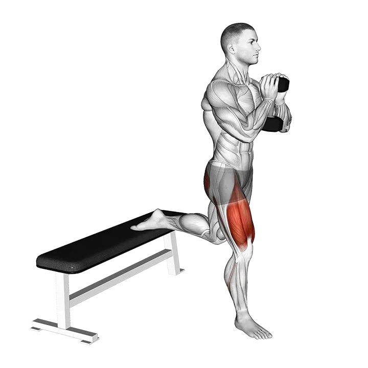 Dumbbell Goblet Bulgarian Split Squat exercise animation (Male)