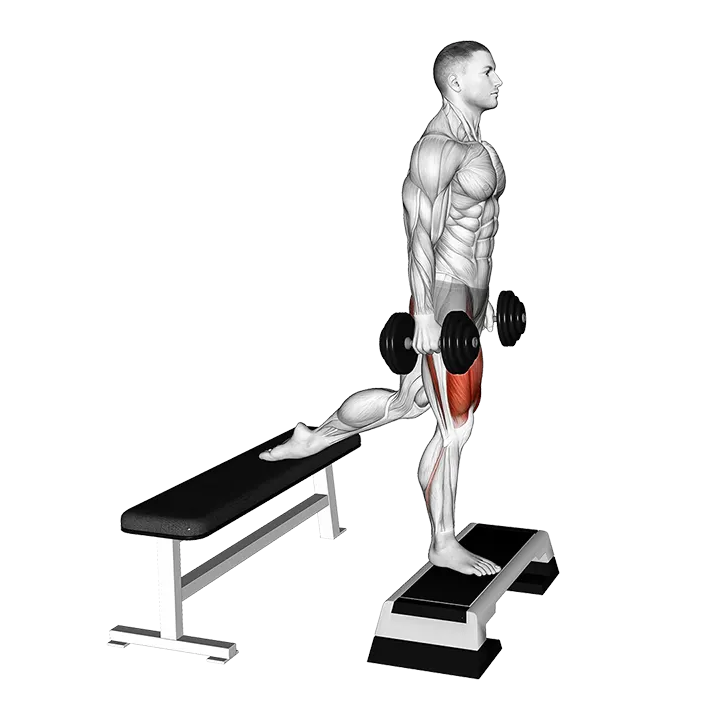 Dumbell Bulgarian Split Squat from Deficit exercise animation (Male)