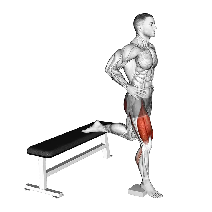Bodyweight Heel Elevated Bulgarian Split Squat exercise animation (Male)