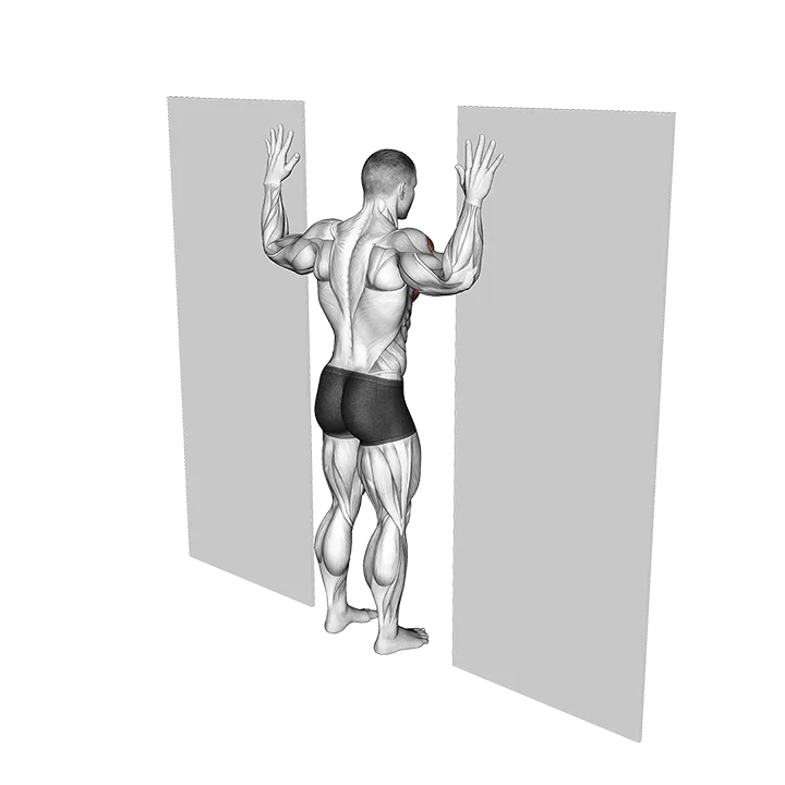 Doorway Chest Stretch exercise animation (Male)