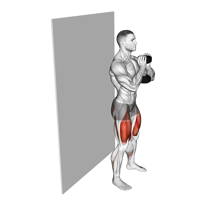Dumbbell Goblet Wall Sit exercise animation (Male)
