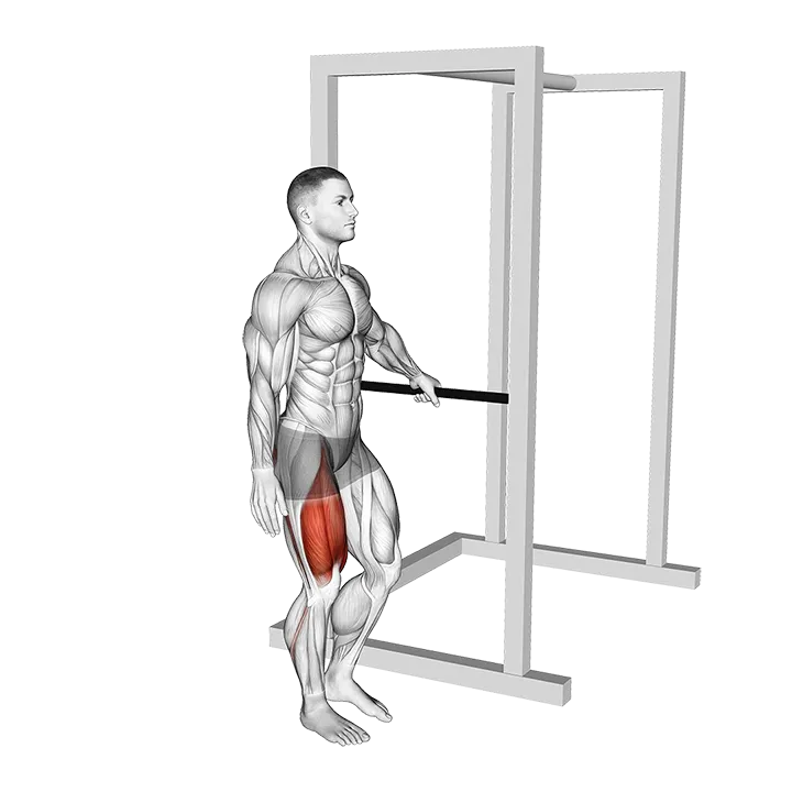 Bodyweight Single Leg Squat with Support exercise animation (Male)